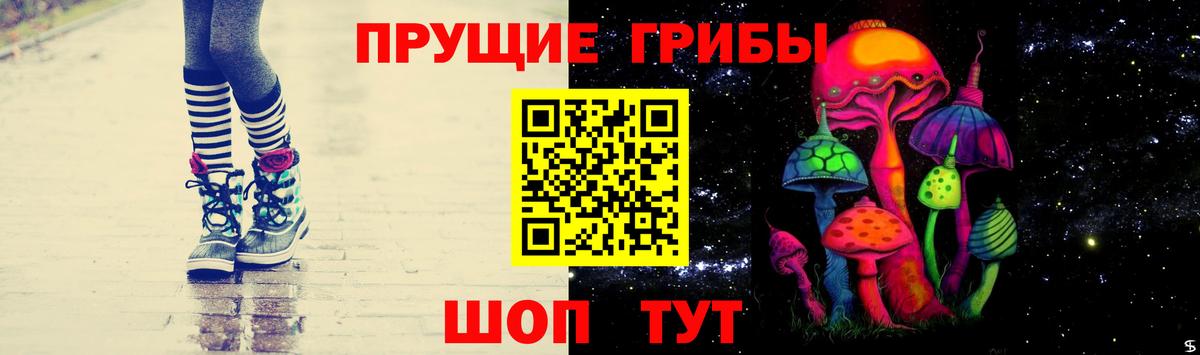 Галлюциногенные грибы Psilocybe Югорск